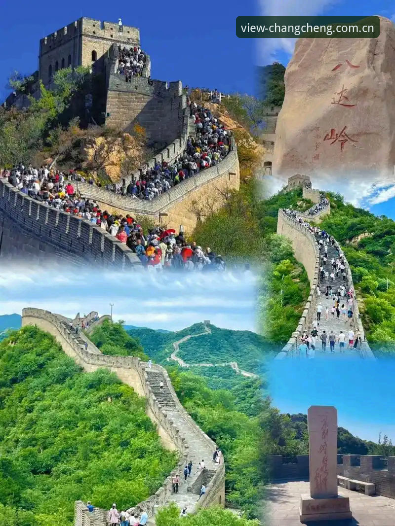 长城体育中国站手机版实战指南：让赛事数据真正为你所用